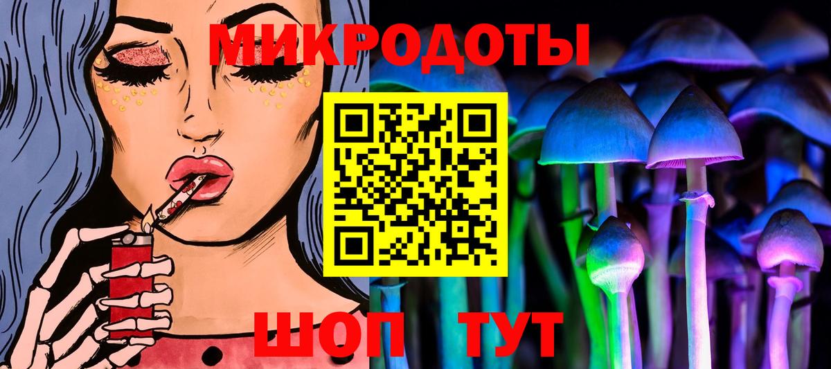 Псилоцибиновые грибы Psilocybine cubensis Бийск