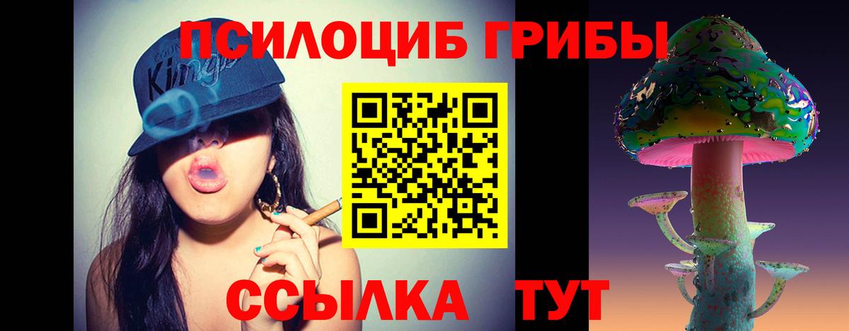 Псилоцибиновые грибы Magic Shrooms  наркошоп  Бийск  Вход с VPN  Галлюциногенные грибы GOLDEN TEACHER 